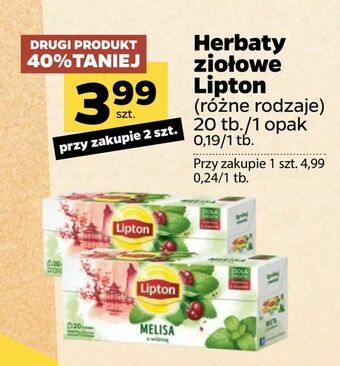 Netto Herbaty ziołowe Lipton oferta