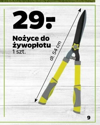 Netto Nożyce do żywopłotu oferta