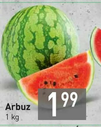 Stokrotka Arbuz oferta