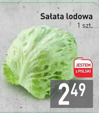 Stokrotka Sałata lodowa oferta
