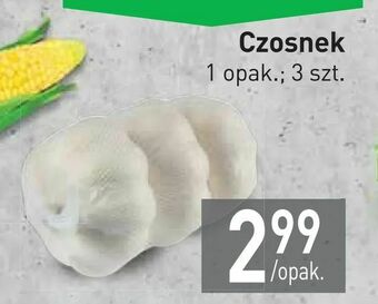 Stokrotka Czosnek oferta