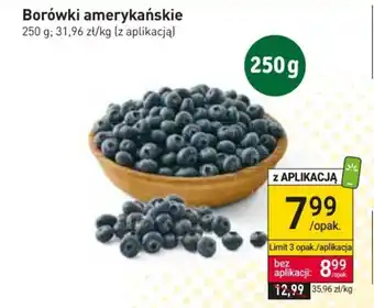 Stokrotka Market Borówki amerykańskie 250g oferta