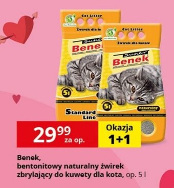 Kakadu Żwirek bentonitowy benek oferta