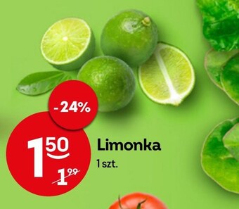 Żabka Limonka oferta