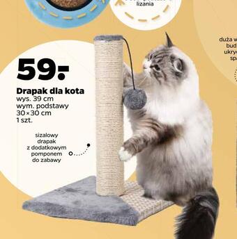 Netto Drapak dla kota oferta