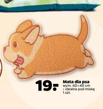 Netto Mata dla psa oferta