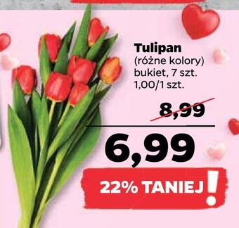 Netto Tulipan oferta