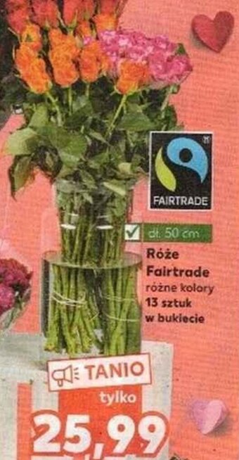Kaufland Róże fairtrade 13szt oferta