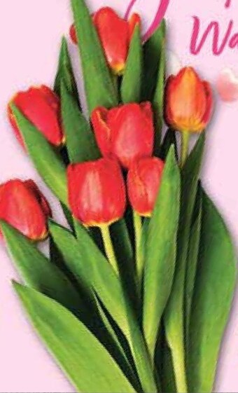 Netto Bukiet tulipanów oferta
