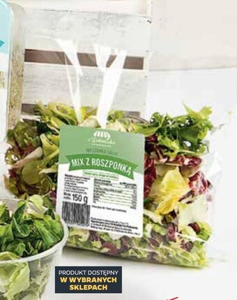 Netto Mix sałat oferta