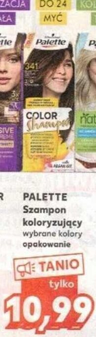 Kaufland Palette szampon koloryzujący oferta
