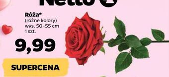 Netto Róza oferta