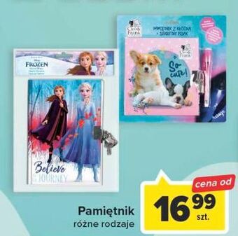 Pamiętnik frozen