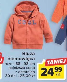 Carrefour Bluza niemowlęca oferta