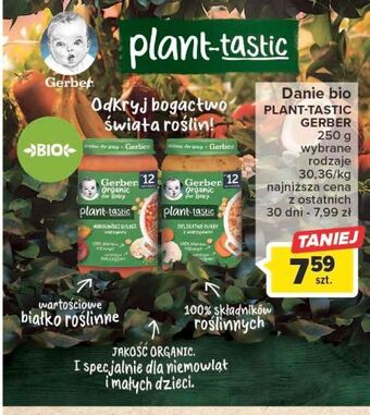 Carrefour Marokański gulasz warzywny gerber organic oferta