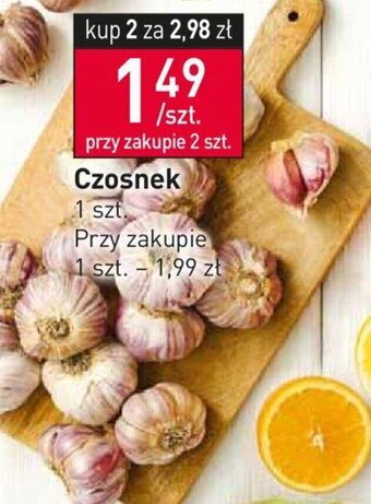 Stokrotka Czosnek 1szt. oferta