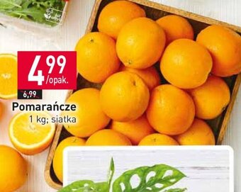 Stokrotka Pomarańcze 1kg oferta