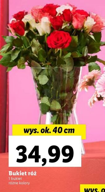 Lidl Bukiet róż 40 cm oferta