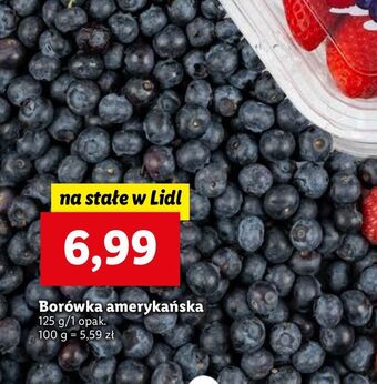 Lidl Borówka amerykańska oferta