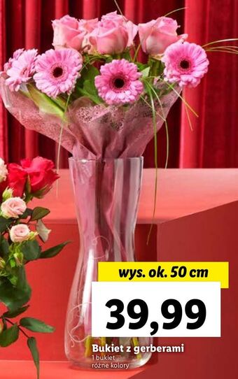 Lidl Bukiet gerber oferta