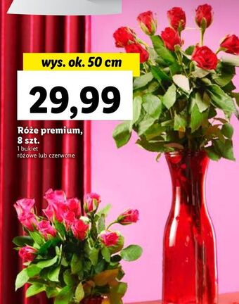 Lidl Róże oferta