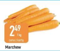 E.Leclerc Marchewka oferta