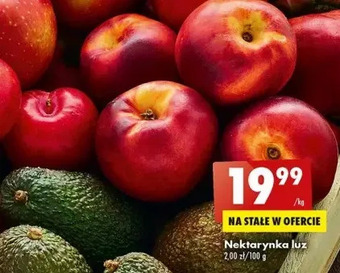 Biedronka Nektarynki oferta
