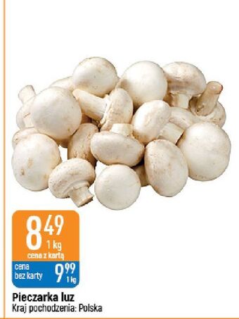 E.Leclerc Pieczarki oferta