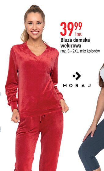 E.Leclerc Bluza damska oferta
