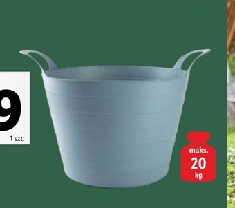 Lidl Kosz oferta