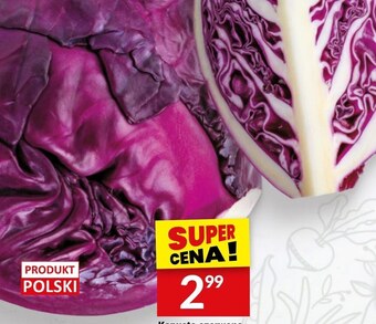 Twój Market Kapusta czerwona oferta