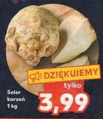Kaufland Seler korzeń 1kg oferta