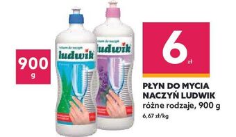 Dealz Balsam do naczyń aloesowy ludwik oferta