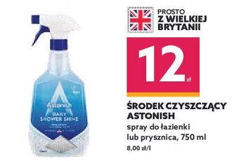 Dealz Spray do czyszczenia kabin prysznicowych astonish oferta