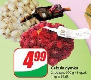 Dino Cebula dymka oferta