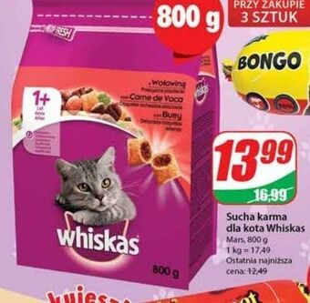 Dino Karma dla kota z wołowiną whiskas oferta
