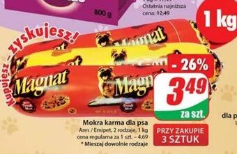 Dino Karma dla psa z wołowiną magnat (karma) oferta
