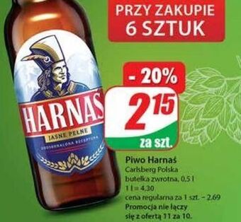 Dino Piwo harnaś jasne pełne oferta