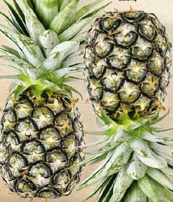 Topaz Ananas oferta