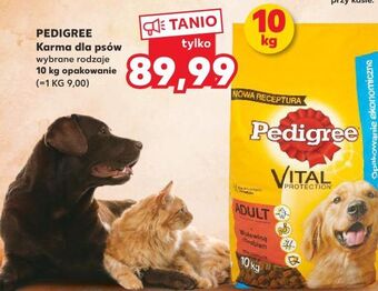 Kaufland Karma dla psa wołowina-drób pedigree vital oferta