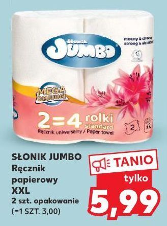 Kaufland Ręcznik papierowy słonik jumbo oferta