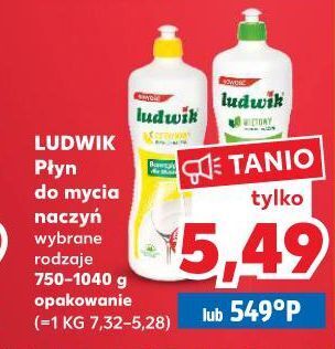 Kaufland Płyn do mycia naczyń cytrynowy ludwik oferta