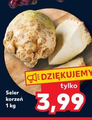 Kaufland Seler korzeń oferta