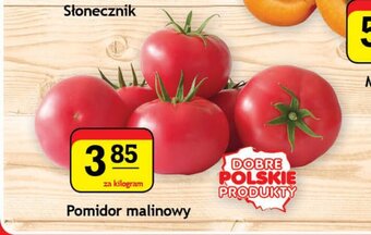 Gram Market Pomidor malinowy 1kg oferta