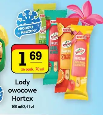 Gram Market Lody owocowe Hortex 70ml oferta