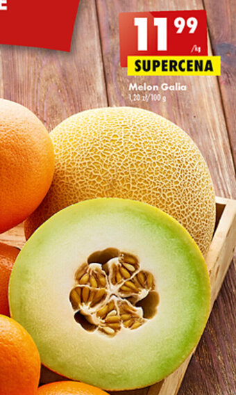 Biedronka Melon galia 1kg oferta