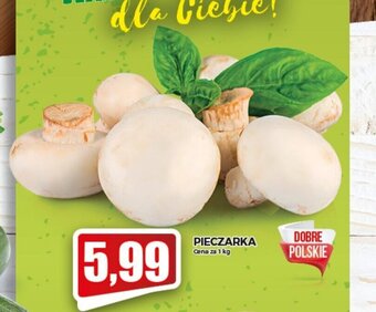 Topaz Pieczarka 1kg oferta