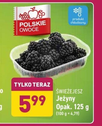 ALDI Jeżyny 125g oferta