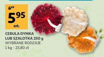 Cebula szalotka