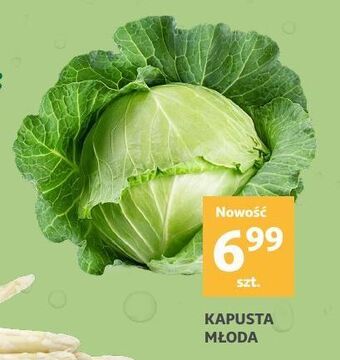 Auchan Kapusta młoda oferta